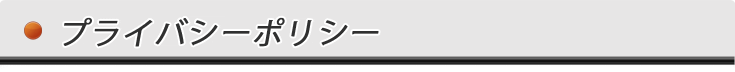 プライバシーポリシー　タイトル